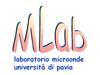 MWLab